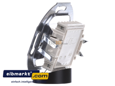 View on the right Berker 458802 Twisted pair Data outlet white
