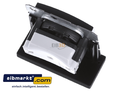 Ansicht oben hinten Berker 6765761606 Steckdose anth m.Erdungsstift 