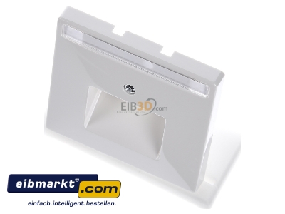 View up front Merten 291819 Central cover plate UAE/IAE (ISDN)

