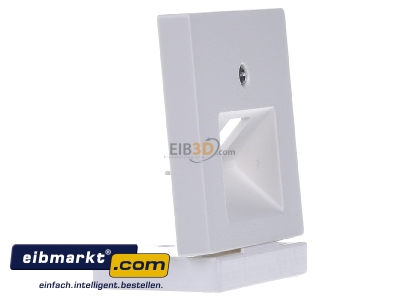 Ansicht links Merten 298319 Zentralplatte pws f�r UAE-Einsatz 1f. 