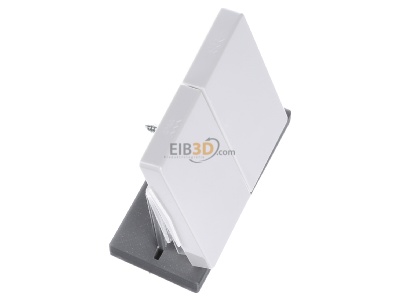 Ansicht oben links Merten 343519 Wippe pws f�r Serienschalter 