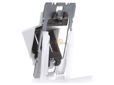 View on the right Berker 146409 Central cover plate for intermediate 
