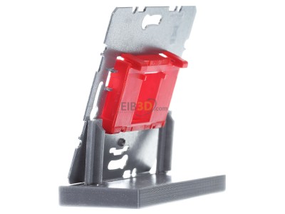View on the right Berker 454001 Basic element Modular Jack 
