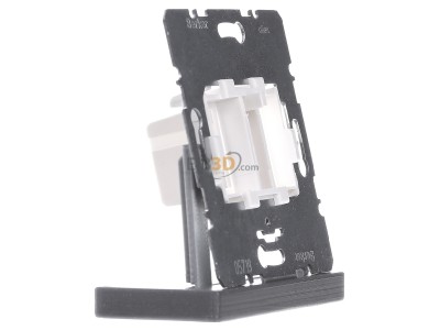 View on the left Berker 454105 Basic element Modular Jack 
