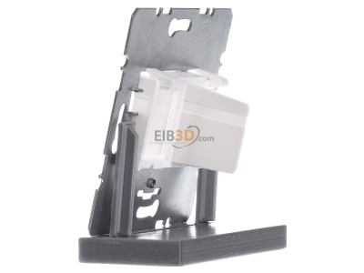 View on the right Berker 454105 Basic element Modular Jack 
