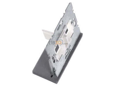 View top left Berker 454105 Basic element Modular Jack 
