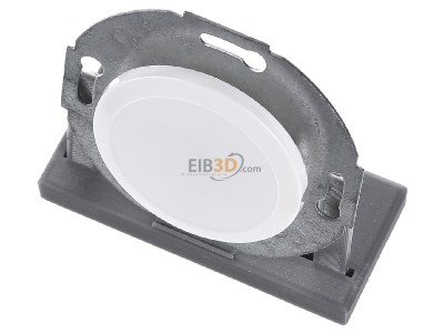 View up front Berker 100920 Basic element with central cover plate 
