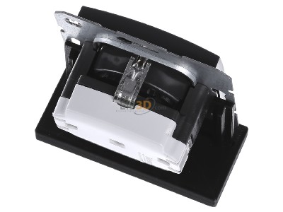 Ansicht oben hinten Berker 41231606 Schuko-Steckd.anth 