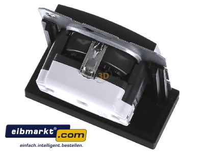 Ansicht oben hinten Berker 41431606 Schuko-Steckd.anth 