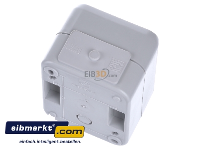 Top rear view Elso 441229 2-pole switch surface mounted grey
