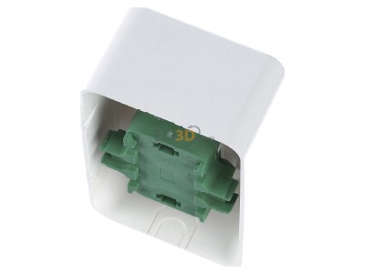 Top rear view Elso 395404 Socket outlet (receptacle) 
