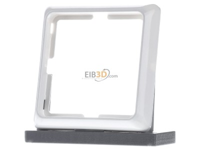 Frontansicht Elso 504314 Adapterrahmen rw f�r UP-Ger�teeinsatz 