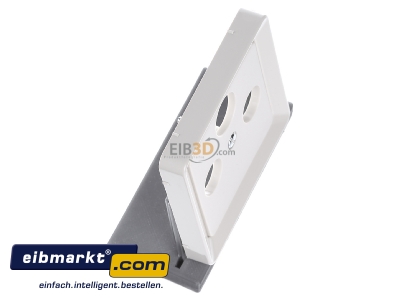 View top left Elso 206030 Plate coaxial antenna socket outlet
