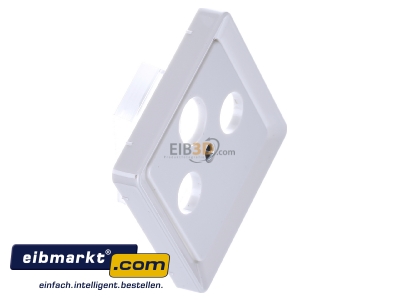 View top left Elso 206034 Plate coaxial antenna socket outlet
