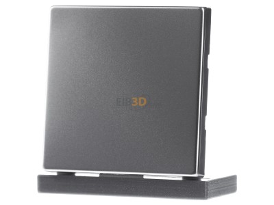 Frontansicht Jung ES 2990 Wippe eds f�r Taster 