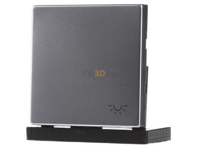 Frontansicht Jung ES 2990 L Wippe Symbol LICHT eds f�r Taster 