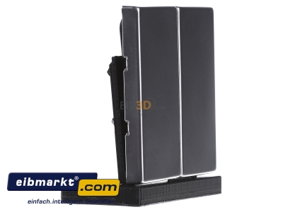 Ansicht links Jung ES 2995 P Wippe Symbole eds f�r Jal.Schalter 