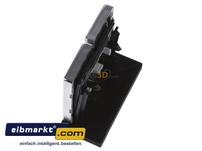 Ansicht oben rechts Jung ES 2995 P Wippe Symbole eds f�r Jal.Schalter 