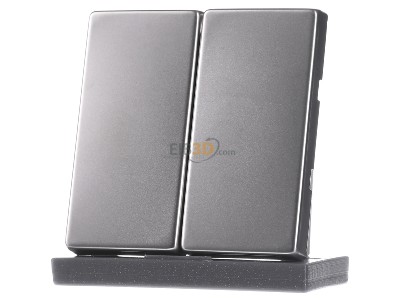 Frontansicht Jung ES 2995 Wippe eds f�r Taster 