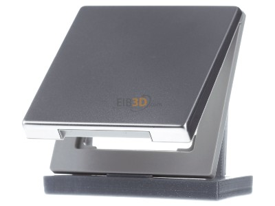 Frontansicht Jung ES 2990 KL Klappdeckel eds mit R�ckstellfeder 