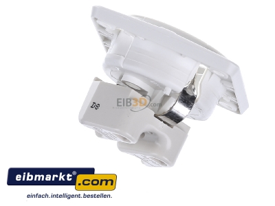 Ansicht oben hinten Berker 841852522 SCHUKO-Steckdose 45Grad polarwei,damasziert 