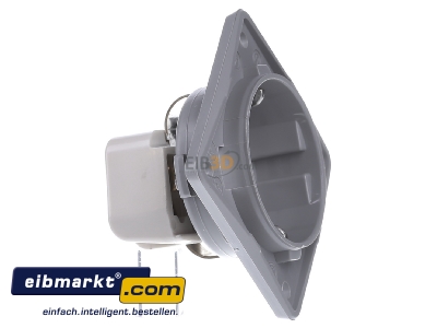 Ansicht links Berker 841852526 SCHUKO-Steckdose 45Grad grau, damasziert 