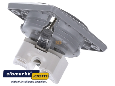 Ansicht oben hinten Berker 841852526 SCHUKO-Steckdose 45Grad grau, damasziert 