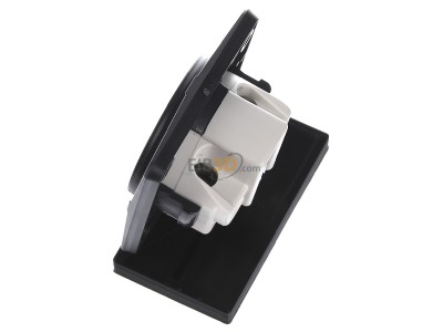 Ansicht oben rechts Berker 962622505 Steckdose mit Schutzkontakt, British Standard, 