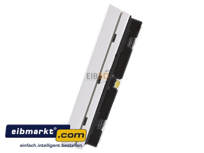 View on the right Berker 75161599 Touch sensor for bus system 2-fold
