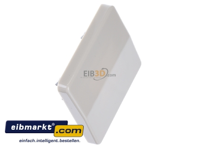 Ansicht oben links Jung CD 590 BF Wippe ws f�r Schalter/Taster 