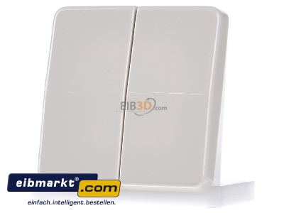 Frontansicht Jung CD 595 BF Wippe ws f�r Schalter/Taster 