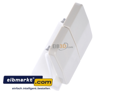 Ansicht oben links Jung CD 595 BF Wippe ws f�r Schalter/Taster 