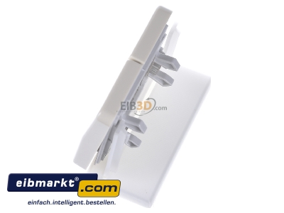 Ansicht oben rechts Jung CD 595 BF Wippe ws f�r Schalter/Taster 