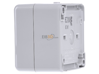 View on the right Jung 802 KOW 2-pole switch surface mounted grey 
