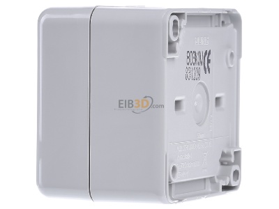 View on the right Jung 803 KOW 3-pole switch surface mounted grey 

