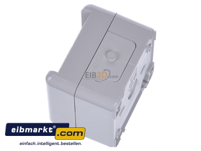 Ansicht oben rechts Jung 839 W Doppel-Taster 10AX 250V 2 Wechsler 