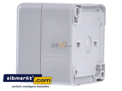 View on the right Jung 806 ZW Switch surface mounted grey 
