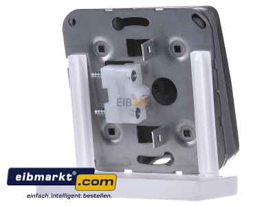 Back view Jung CD 590 A PT Basic element with central cover plate
