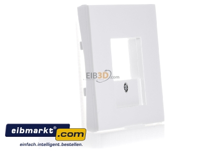 View on the left Berker 10357009 Central cover plate TAE 
