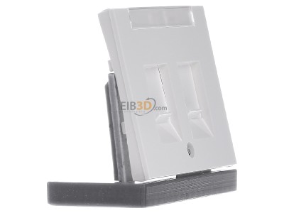 View on the left Berker 11827009 Central cover plate Modular Jack 
