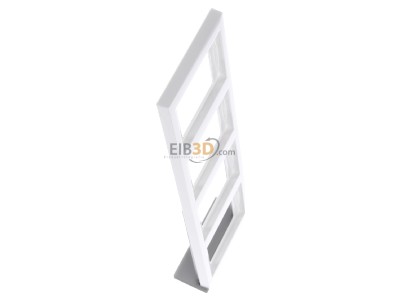 View top left Berker 13437009 Frame 4-gang white 
