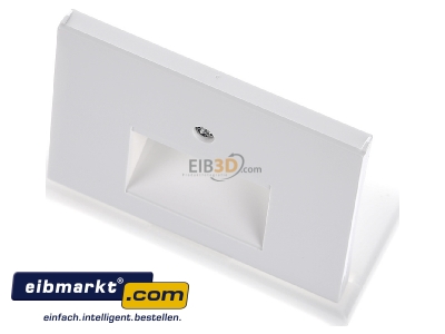 View up front Berker 14097009 Central cover plate UAE/IAE (ISDN)
