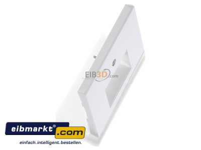 View top left Berker 14097009 Central cover plate UAE/IAE (ISDN)
