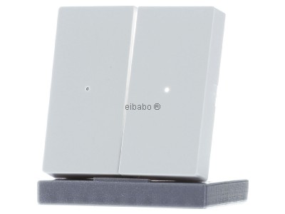 Front view Merten 625219 EIB, KNX touch rocker white, 
