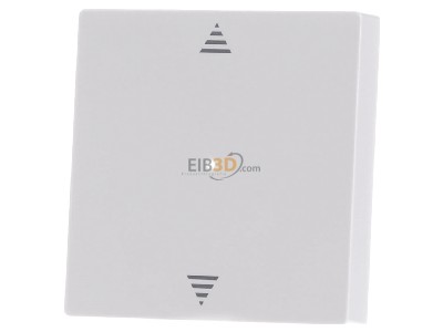 Front view Merten 625519 EIB, KNX touch rocker white, 
