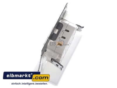 Ansicht oben rechts Peha D 619 T Doppeltaster 10A 250V 