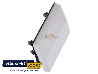 Ansicht oben links Jung ABAS 591 Wippe ws f�r Schalter/Taster 