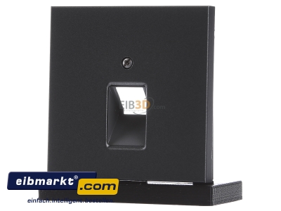 Frontansicht Jung AL 2969-1 UA AN Abdeckung anth f�r IAE/UAE-Dose 