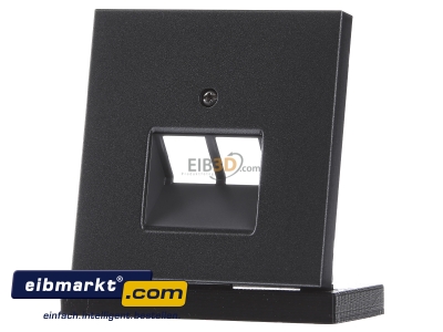 Frontansicht Jung AL 2969-2 UA AN Abdeckung anth f�r IAE/UAE-Dose 