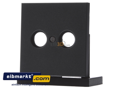 Frontansicht Jung AL 2990 TV AN Abdeckung anth f�r Antennendose 